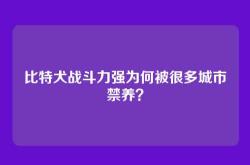 比特犬战斗力强为何被很多城市禁养？