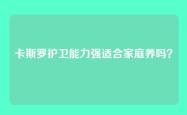 卡斯罗护卫能力强适合家庭养吗？
