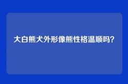 大白熊犬外形像熊性格温顺吗？