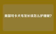 美国可卡犬毛发长该怎么护理呢？