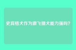 史宾格犬作为激飞猎犬能力强吗？