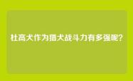 杜高犬作为猎犬战斗力有多强呢？