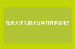 杜高犬作为猎犬战斗力有多强呢？