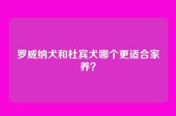 罗威纳犬和杜宾犬哪个更适合家养？