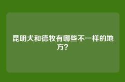 昆明犬和德牧有哪些不一样的地方？