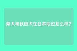 柴犬和秋田犬在日本地位怎么样？
