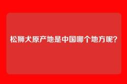 松狮犬原产地是中国哪个地方呢？