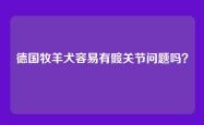 德国牧羊犬容易有髋关节问题吗？