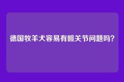 德国牧羊犬容易有髋关节问题吗？