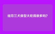 纽芬兰犬体型大吃得很多吗？