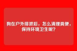 狗在户外排泄后，怎么清理粪便，保持环境卫生呢？