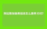 阿拉斯加肠胃弱该怎么喂养才对？