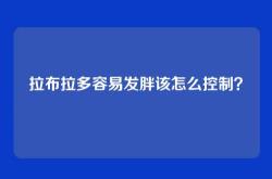 拉布拉多容易发胖该怎么控制？