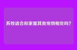 苏牧适合和家里其他宠物相处吗？