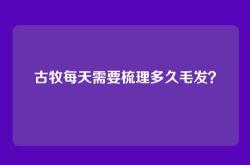 古牧每天需要梳理多久毛发？