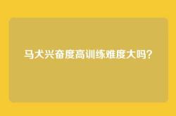 马犬兴奋度高训练难度大吗？