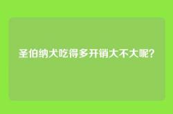 圣伯纳犬吃得多开销大不大呢？
