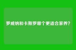 罗威纳和卡斯罗哪个更适合家养？