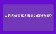 大丹犬体型高大寿命为何特别短？