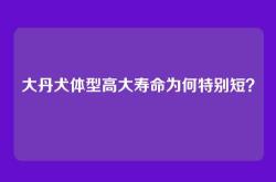 大丹犬体型高大寿命为何特别短？