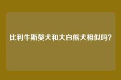 比利牛斯獒犬和大白熊犬相似吗？