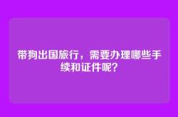 带狗出国旅行，需要办理哪些手续和证件呢？