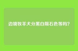 边境牧羊犬分黑白陨石色等吗？
