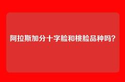 阿拉斯加分十字脸和桃脸品种吗？