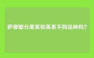 萨摩耶分美系和英系不同品种吗？