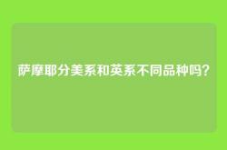 萨摩耶分美系和英系不同品种吗？
