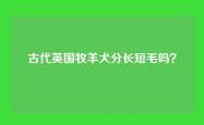 古代英国牧羊犬分长短毛吗？