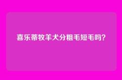 喜乐蒂牧羊犬分粗毛短毛吗？