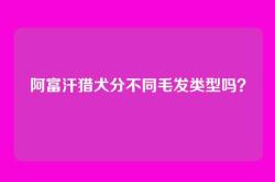阿富汗猎犬分不同毛发类型吗？