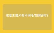 法老王猎犬有不同毛发颜色吗？