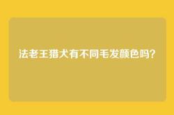 法老王猎犬有不同毛发颜色吗？