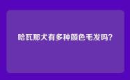 哈瓦那犬有多种颜色毛发吗？