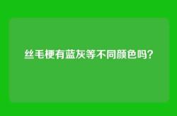 丝毛梗有蓝灰等不同颜色吗？
