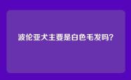 波伦亚犬主要是白色毛发吗？