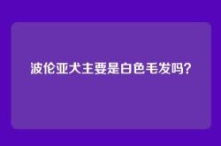 波伦亚犬主要是白色毛发吗？