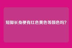 短脚长身梗有红色黄色等颜色吗？