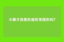 小鹿犬有黑色褐色等颜色吗？