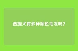 西施犬有多种颜色毛发吗？