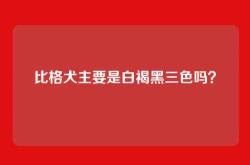 比格犬主要是白褐黑三色吗？