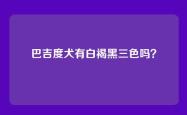 巴吉度犬有白褐黑三色吗？