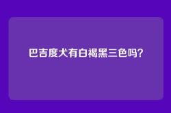 巴吉度犬有白褐黑三色吗？
