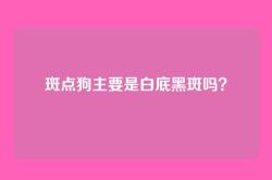 斑点狗主要是白底黑斑吗？