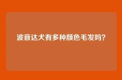 波音达犬有多种颜色毛发吗？