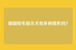 德国短毛指示犬有多种颜色吗？