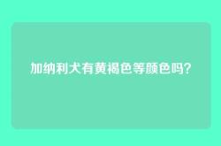 加纳利犬有黄褐色等颜色吗？