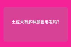 土佐犬有多种颜色毛发吗？